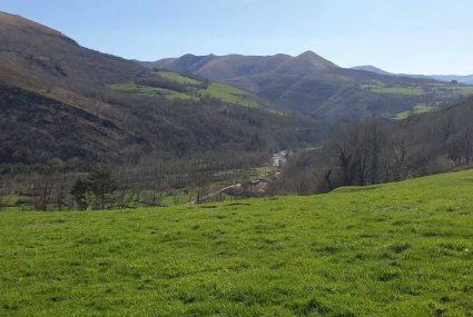Cabuerniga cantabria
