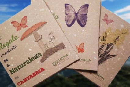 Cajas Regalo Tarjeta Regalo(1) cantabria