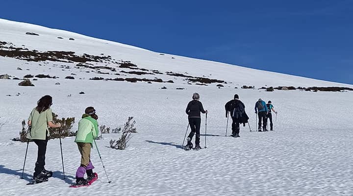 Ruta Con Raquetas De Nieve (2) cantabria