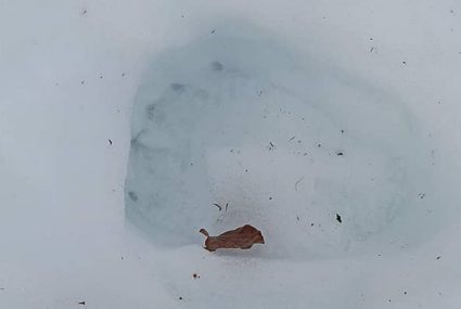 Ruta Con Raquetas De Nieve (3) cantabria