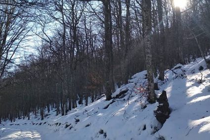 Ruta Con Raquetas De Nieve (5) cantabria