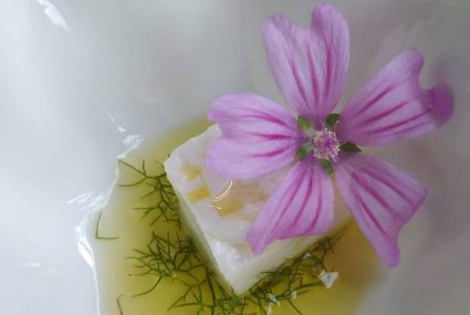 GASTRO EXPERIENCIA SILVESTRE