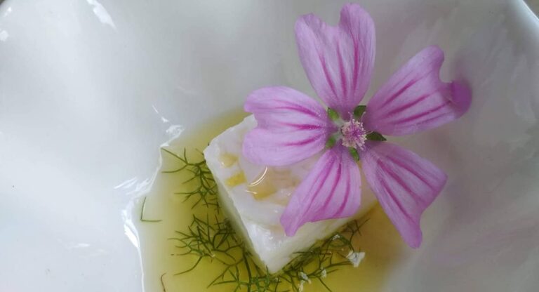 GASTRO EXPERIENCIA SILVESTRE