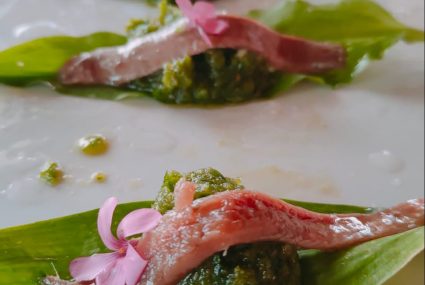 tapa pincho con plantas silvestre