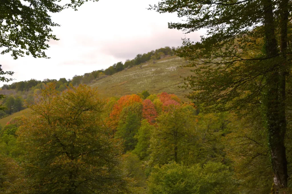 Parque Natural Saja Besaya Luis cantabria