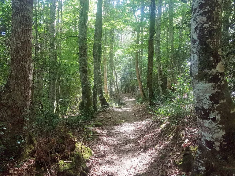 Monte Hijedo Igon cantabria