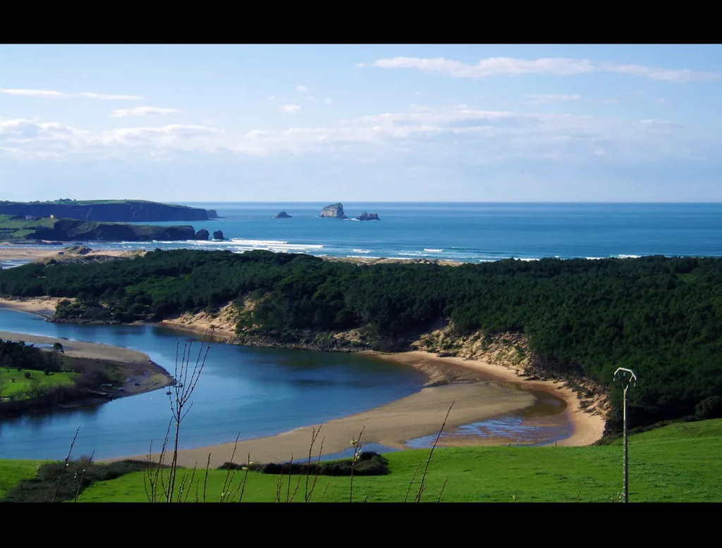 Rutas Oquideas Liencres David cantabria