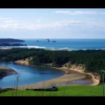 Rutas Oquideas Liencres David cantabria