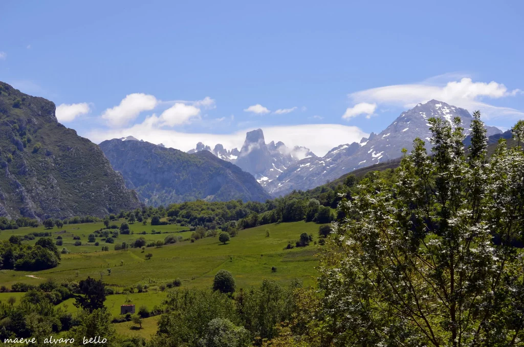 Rutas Picos De Europa Pico Uriellu Maeve cantabria