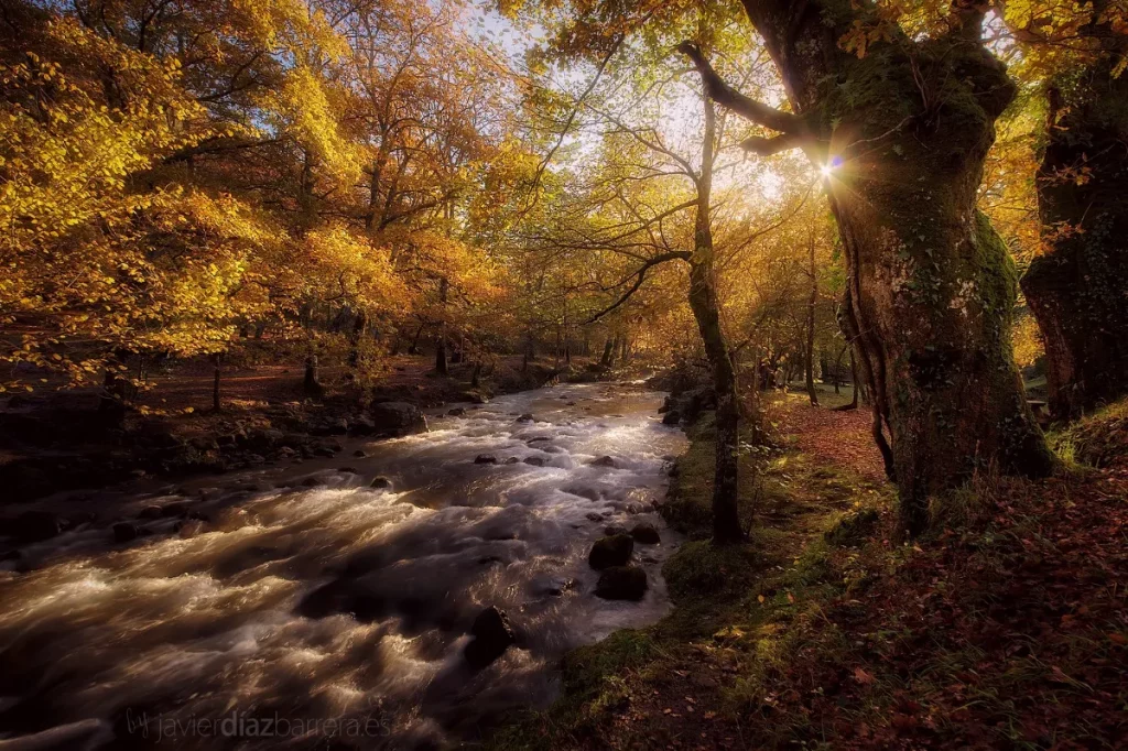 Saja Besaya Ruente Ucieda Javier cantabria